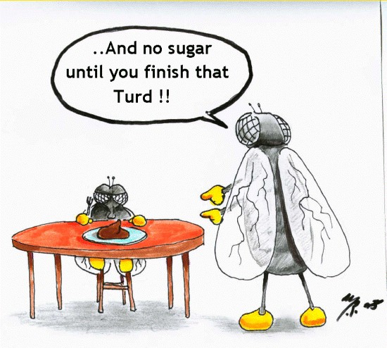 No dessert until you finish dinner!